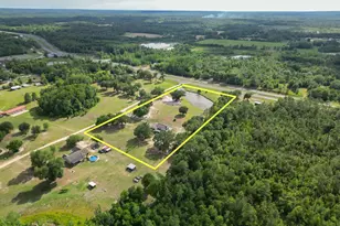 2242 Hwy 231, Cottondale, FL 32431 - Photo 87