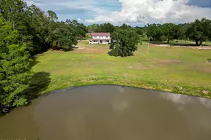 2242 Hwy 231, Cottondale, FL 32431 - Photo 83