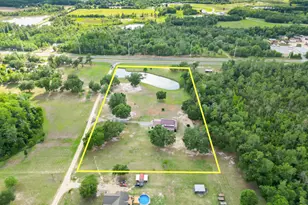 2242 Hwy 231, Cottondale, FL 32431 - Photo 85