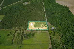 20369 NE Terry Varnum Rd, Altha, FL 32421 - Photo 17