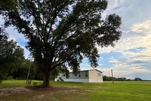 4727 Georgia Rd, Greenwood, FL 32443 - Photo 37