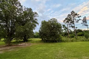 4727 Georgia Rd, Greenwood, FL 32443 - Photo 35