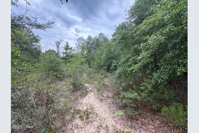 Lot 16 Chapel Avenue, Chipley, FL 32428 - Photo 7