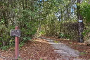 1415 Salamander Trail, Panama City Beach, FL 32413 - Photo 65