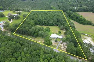 1955 N Hwy 181, Westville, FL 32464 - Photo 59