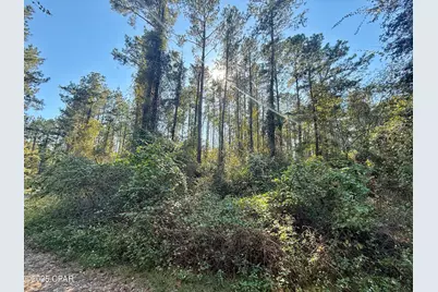 00 Lure Lane, Sneads, FL 32460 - Photo 3