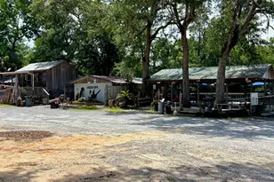 7145 David Whitfield Rd, Wewahitchka, FL 32465 - Photo 29