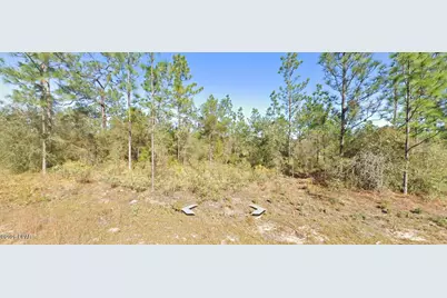 Lot 22 Blk 0040 Aquarius Drive, Chipley, FL 32428 - Photo 15