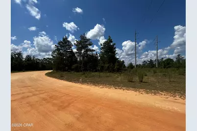 0 Ocala Drive, Alford, FL 32420 - Photo 9