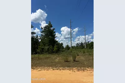 0 Ocala Drive, Alford, FL 32420 - Photo 13