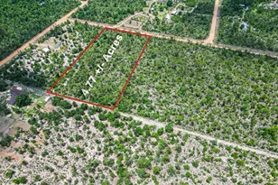 0000 Cracked Egg Ln, Chipley, FL 32428 - Photo 1
