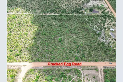 0000 Cracked Egg Lane, Chipley, FL 32428 - Photo 3