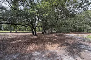 4304 Thunder Rd, Sneads, FL 32460 - Photo 25