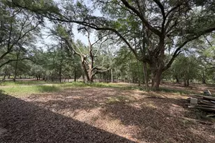 4304 Thunder Rd, Sneads, FL 32460 - Photo 23