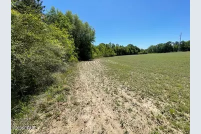 0000 Peanut Road, Graceville, FL 32440 - Photo 9