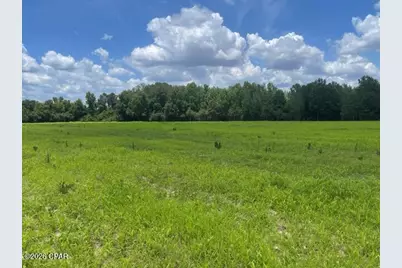 0000 Peanut Road, Graceville, FL 32440 - Photo 7