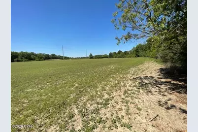 0000 Peanut Road, Graceville, FL 32440 - Photo 11