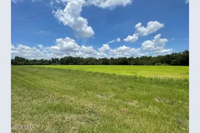 0000 Peanut Road, Graceville, FL 32440 - Photo 1