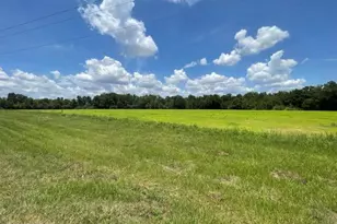 0000 Peanut Rd, Graceville, FL 32440 - Photo 1