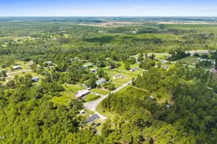 144 Carol St, Wewahitchka, FL 32465 - Photo 49