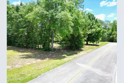 14248 NW 1st Avenue, Bristol, FL 32321 - Photo 5