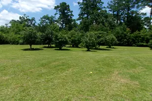 409 E Wisconsin Ave, Bonifay, FL 32425 - Photo 33