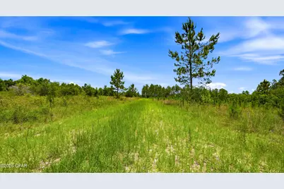 705 Cornwell Road, Alford, FL 32420 - Photo 65