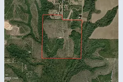 705 Cornwell Road, Alford, FL 32420 - Photo 89