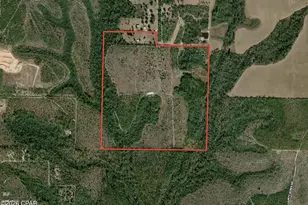 705 Cornwell Rd, Alford, FL 32420 - Photo 89