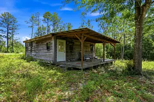 705 Cornwell Rd, Alford, FL 32420 - Photo 5