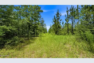 705 Cornwell Road, Alford, FL 32420 - Photo 61