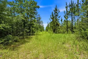 705 Cornwell Rd, Alford, FL 32420 - Photo 61