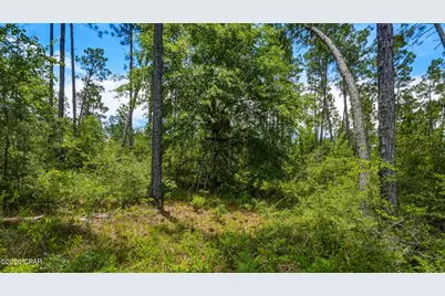 705 Cornwell Road, Alford, FL 32420 - Photo 77
