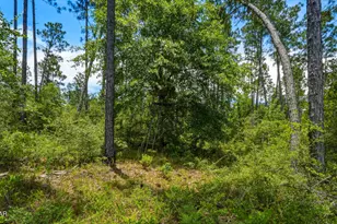 705 Cornwell Rd, Alford, FL 32420 - Photo 77