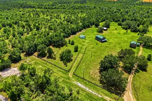 705 Cornwell Rd, Alford, FL 32420 - Photo 15