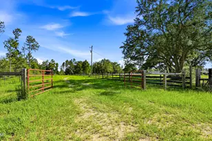 705 Cornwell Rd, Alford, FL 32420 - Photo 47