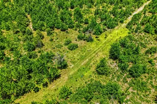 705 Cornwell Rd, Alford, FL 32420 - Photo 63