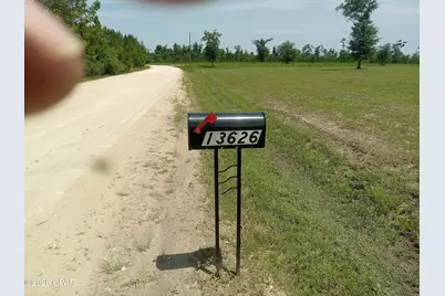 13626 Bailey Cem Road, Clarksville, FL 32430 - Photo 5