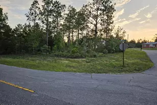 Lot 11 Covington Pl, Chipley, FL 32428 - Photo 1