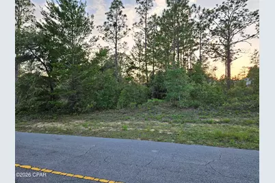 Lot 11 Covington Place #1, Chipley, FL 32428 - Photo 3