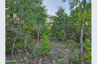Lot 3 Parkview Drive, Chipley, FL 32428 - Photo 3