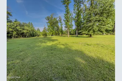 4128 Little Dothan Road, Sneads, FL 32460 - Photo 13