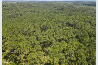 0 St Hwy 83, Defuniak Springs, FL 32433 - Photo 17