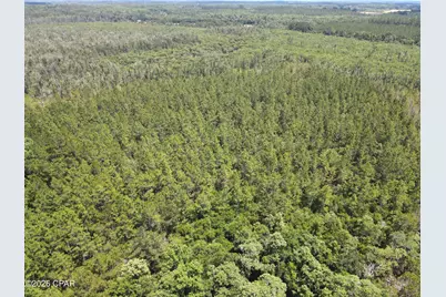 0 St Hwy 83, Defuniak Springs, FL 32433 - Photo 13
