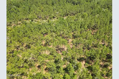 0 St Hwy 83, Defuniak Springs, FL 32433 - Photo 5