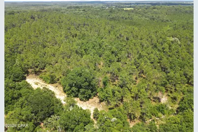 0 St Hwy 83, Defuniak Springs, FL 32433 - Photo 3
