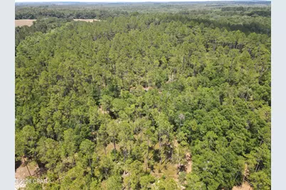 0 St Hwy 83, Defuniak Springs, FL 32433 - Photo 15