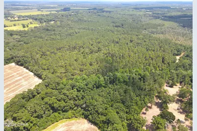 0 St Hwy 83, Defuniak Springs, FL 32433 - Photo 19