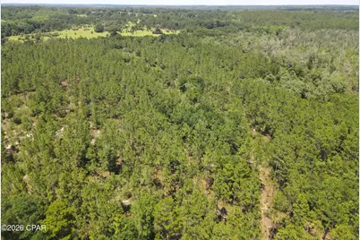 0 St Hwy 83, Defuniak Springs, FL 32433 - Photo 11