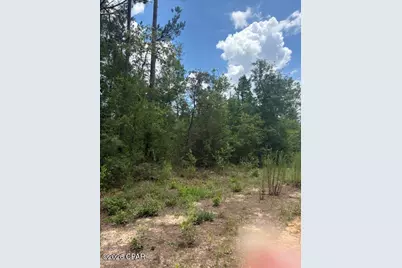 0 Tiger Avenue #LT3 BLK75, Marianna, FL 32448 - Photo 5